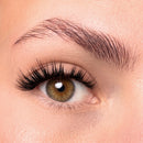 Oh My Lash Pre-glued lashes - After Dark
