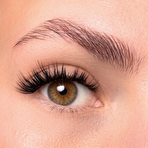 Oh My Lash Pre-glued lashes - After Dark