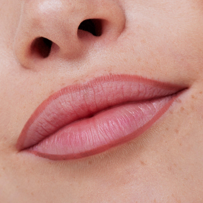 Essence 8h matte comfort lipliner 02 Silky Hazelnut