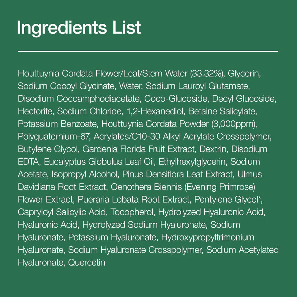 ANUA HeartLeaf Quercetinol Pore Deep Cleansing Foam