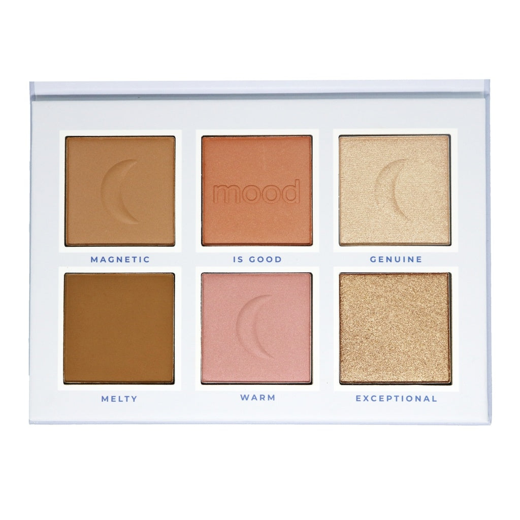 Ruby Rose Feels Mood Po Blush and Illuminator