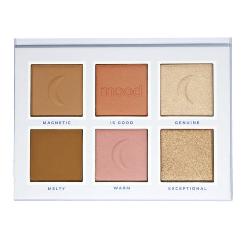 Ruby Rose Feels Mood Po Blush and Illuminator