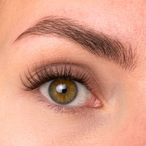 Oh My Lash Rendezvous The Velvet Hour Lashes