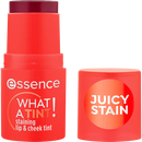 Essence What A Tint! Staining Lip & Cheek Tint