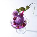 EQQUALBERRY BAKUCHIOL PLUMPING SERUM