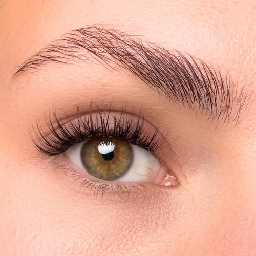 Oh My Lash Pre-glued lashes - Soft Glam