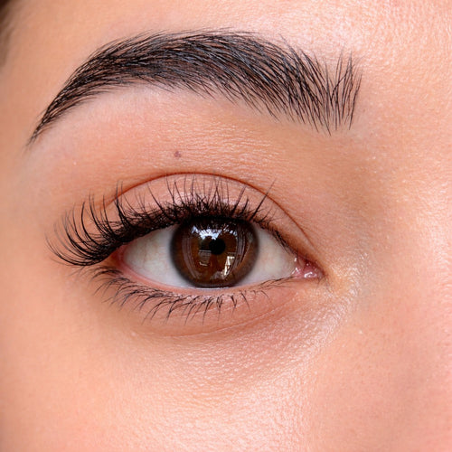 Oh My Lash Pre-glued lashes - Soft Glam