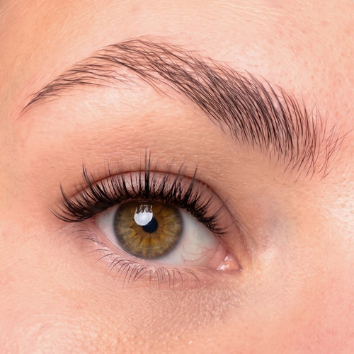 Oh My Lash Pre-glued lashes - Day Dream