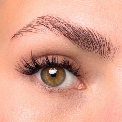 Oh My Lash Pre-glued lashes - Sculpted