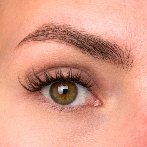 Oh My Lash Pre-glued lashes - Sculpted