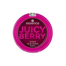 Essence Juicy Berry Lip & Check Balm