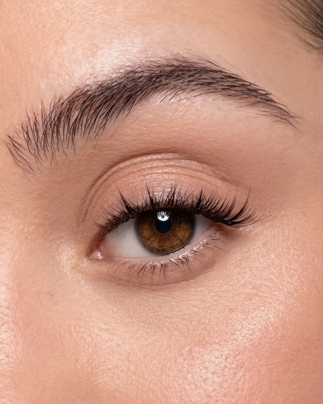 Oh My Lash Pre-glued lashes - Day Dream